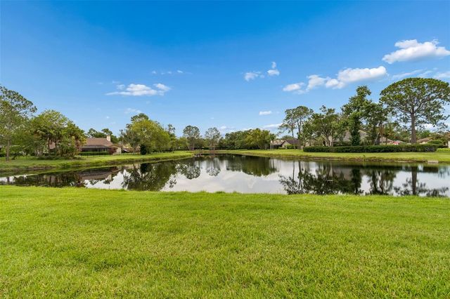 14040 TROUVILLE DRIVE, Tampa, FL 33624