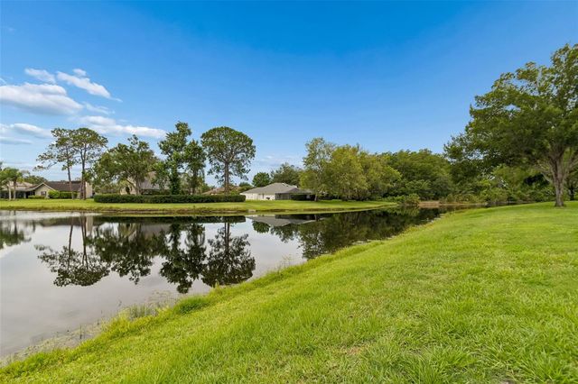 14040 TROUVILLE DRIVE, Tampa, FL 33624
