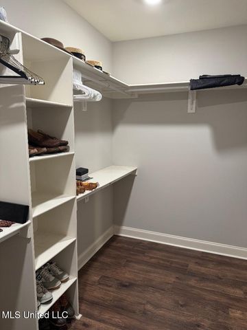 203 Bur Oak Cove, Oxford, MS 38655