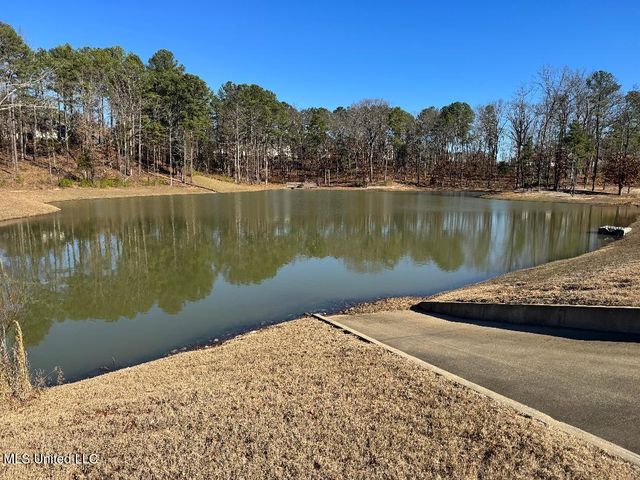 203 Bur Oak Cove, Oxford, MS 38655