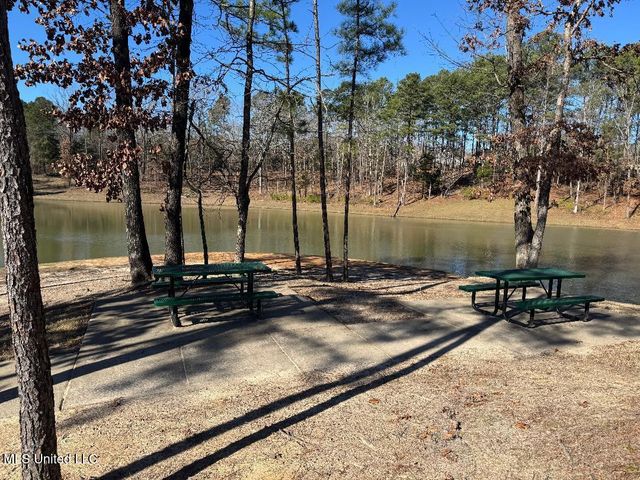 203 Bur Oak Cove, Oxford, MS 38655