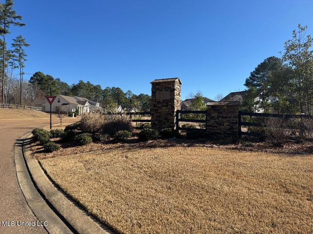 203 Bur Oak Cove, Oxford, MS 38655