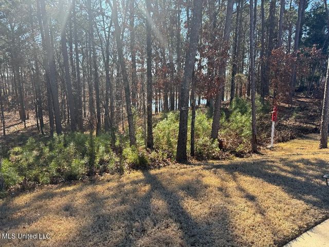 203 Bur Oak Cove, Oxford, MS 38655