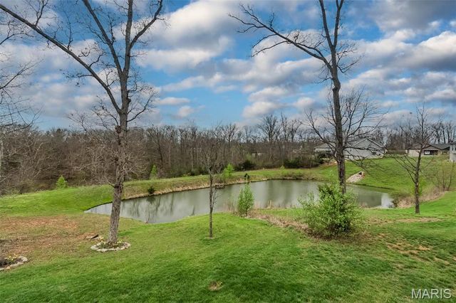 31899 Tea Olive Drive, Foristell, MO 63348