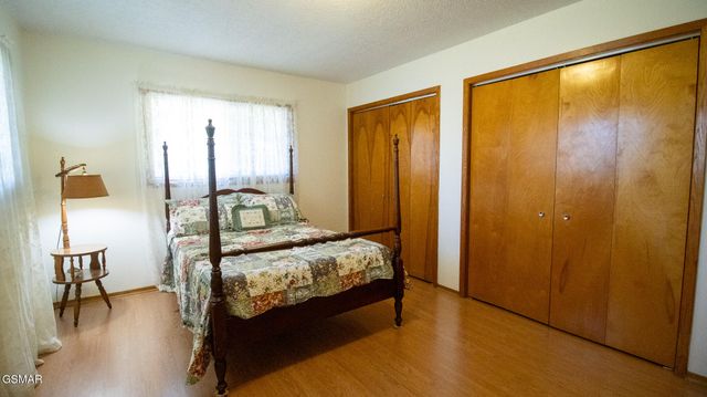 1146 Mountain View Drive, New Market, TN 37820