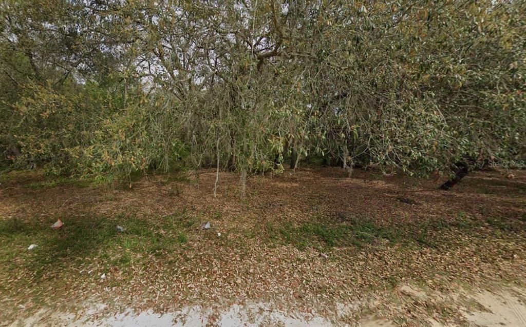 108 PALMER DRIVE, Interlachen, FL 32148
