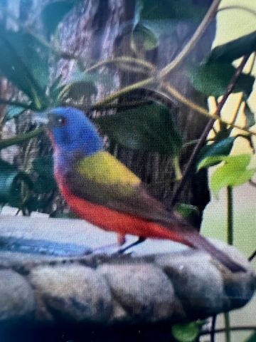 130 VZ County Road 1815, Grand Saline, TX 75140