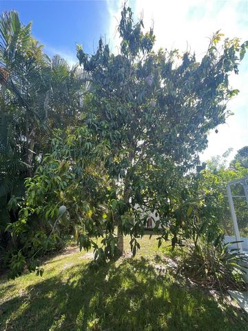 1150 SW Jumper Street, Port St. Lucie, FL 34983