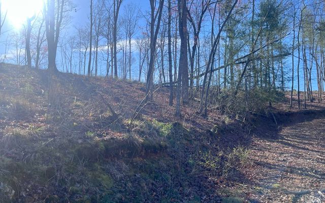 LT118 S Jakes Landing Way, Ellijay, GA 30540