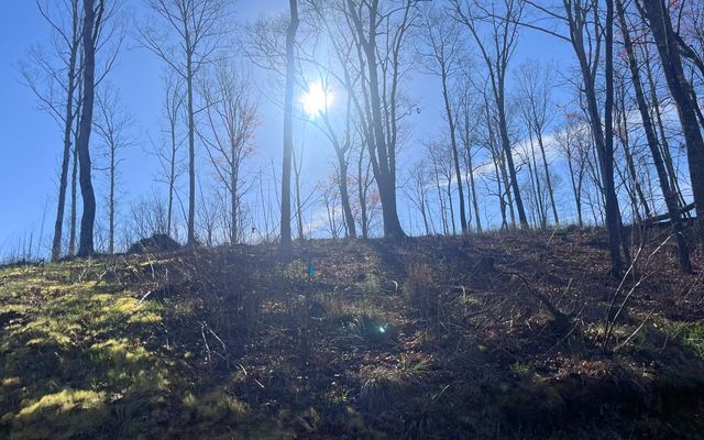 LT118 S Jakes Landing Way, Ellijay, GA 30540