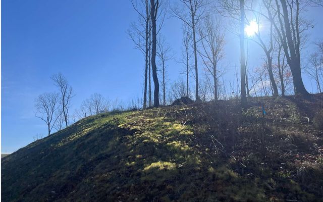 LT118 S Jakes Landing Way, Ellijay, GA 30540