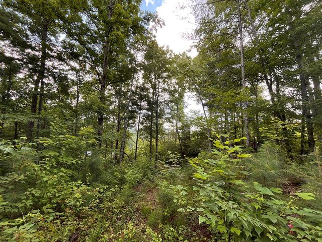 LT118 S Jakes Landing Way, Ellijay, GA 30540