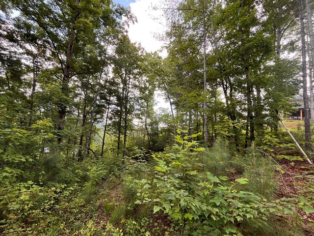 LT118 S Jakes Landing Way, Ellijay, GA 30540