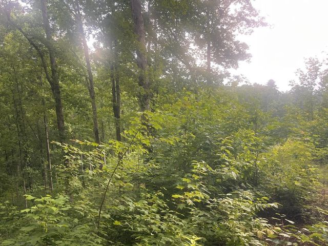 LT118 S Jakes Landing Way, Ellijay, GA 30540