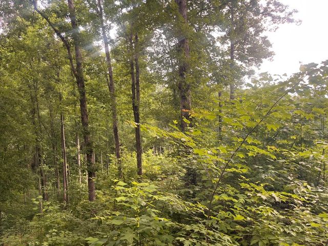 LT118 S Jakes Landing Way, Ellijay, GA 30540