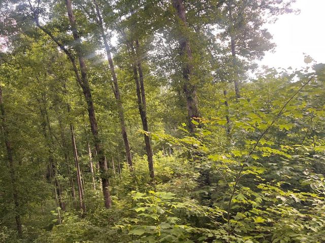 LT118 S Jakes Landing Way, Ellijay, GA 30540