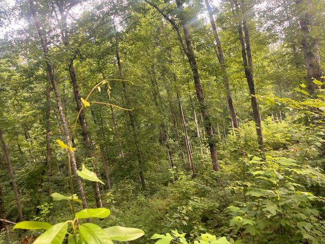 LT118 S Jakes Landing Way, Ellijay, GA 30540