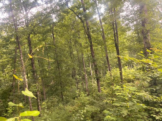LT118 S Jakes Landing Way, Ellijay, GA 30540