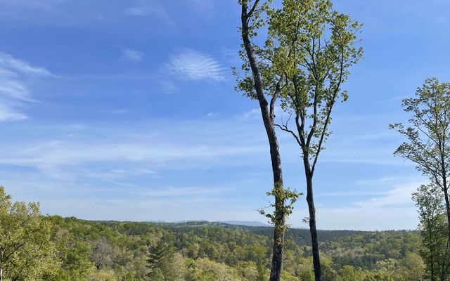 LT118 S Jakes Landing Way, Ellijay, GA 30540