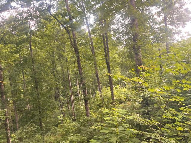 LT118 S Jakes Landing Way, Ellijay, GA 30540