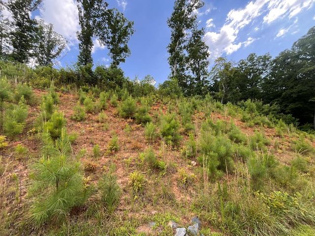 LT118 S Jakes Landing Way, Ellijay, GA 30540