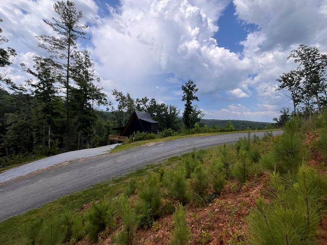 LT118 S Jakes Landing Way, Ellijay, GA 30540