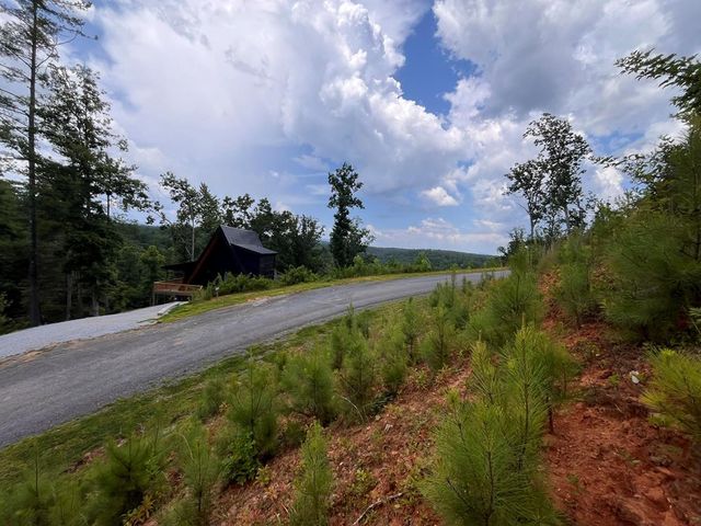LT118 S Jakes Landing Way, Ellijay, GA 30540