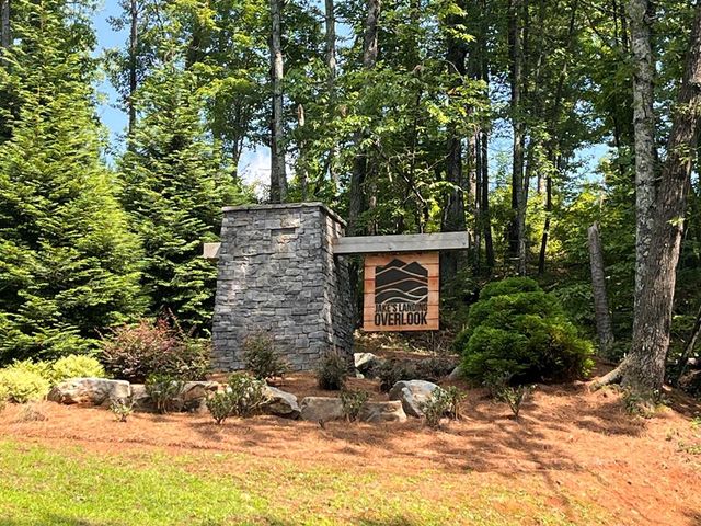 LT118 S Jakes Landing Way, Ellijay, GA 30540