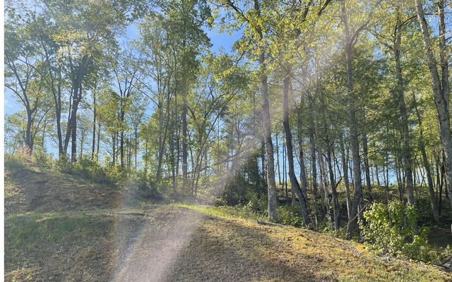 LT118 S Jakes Landing Way, Ellijay, GA 30540