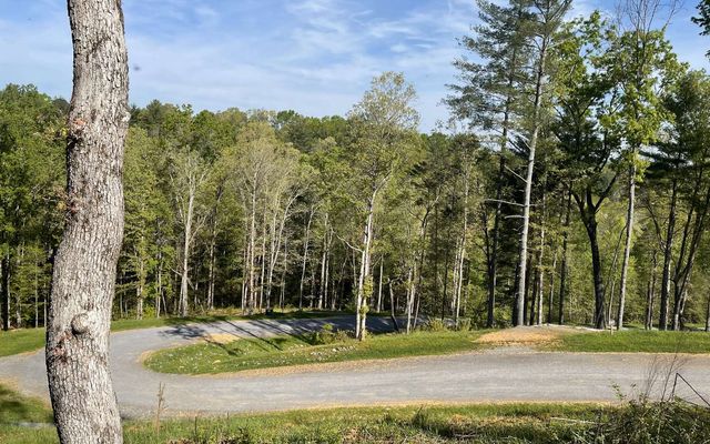 LT118 S Jakes Landing Way, Ellijay, GA 30540