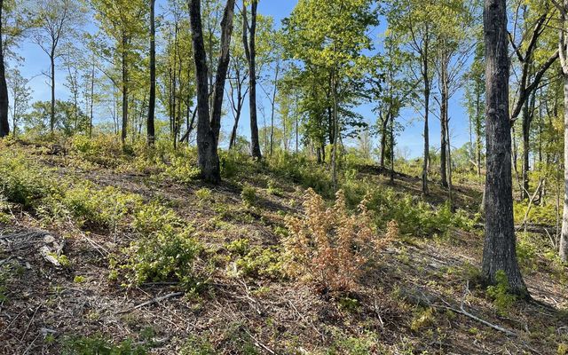 LT118 S Jakes Landing Way, Ellijay, GA 30540