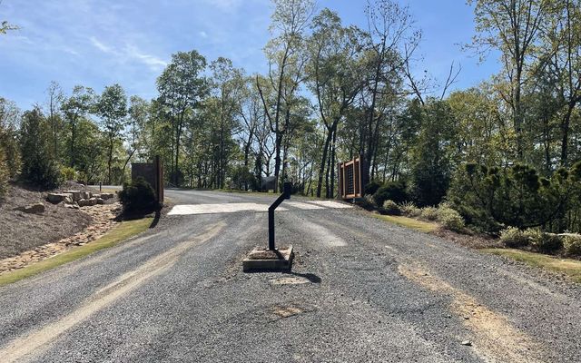 LT118 S Jakes Landing Way, Ellijay, GA 30540