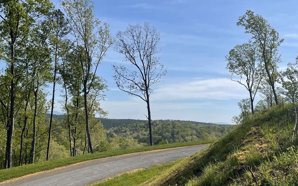 LT118 S Jakes Landing Way, Ellijay, GA 30540