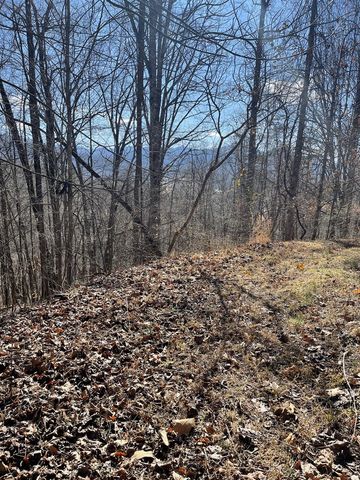 Lot 37C Ash Branch Circle, Hayesville, NC 28904