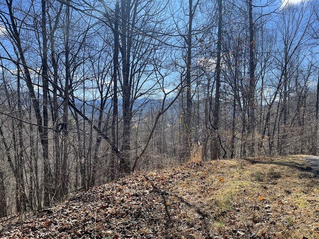 Lot 37C Ash Branch Circle, Hayesville, NC 28904