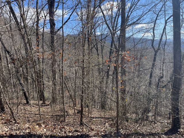 Lot 37C Ash Branch Circle, Hayesville, NC 28904
