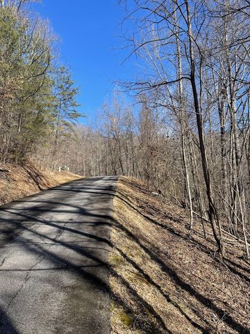 Lot 37C Ash Branch Circle, Hayesville, NC 28904