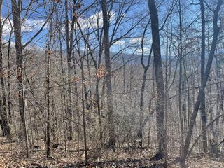 Lot 37C Ash Branch Circle, Hayesville, NC 28904