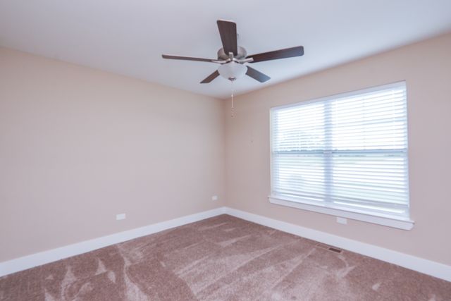 542 Peacock Place, Manteno, IL 60950