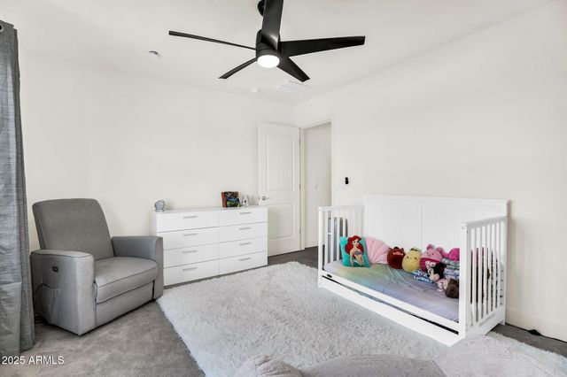 987 W MACAW Drive, Queen Creek, AZ 85140