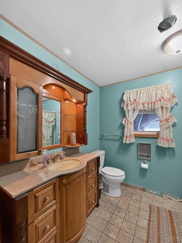 3636 E Nielson Road, Coleman, MI 48618