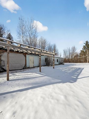 3636 E Nielson Road, Coleman, MI 48618