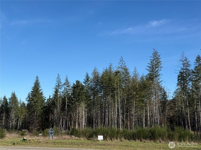 7 Parcel E Johnson Ridge Road, Belfair, WA 98528
