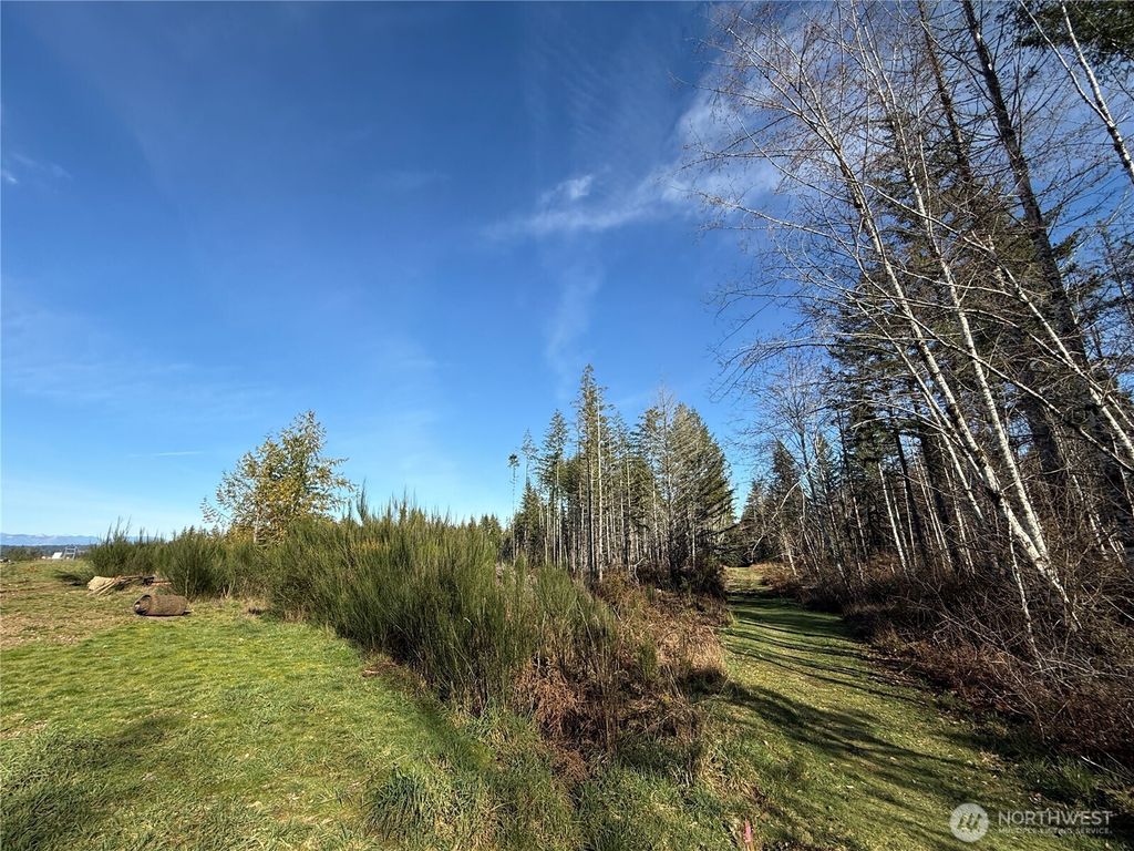 7 Parcel E Johnson Ridge Road, Belfair, WA 98528