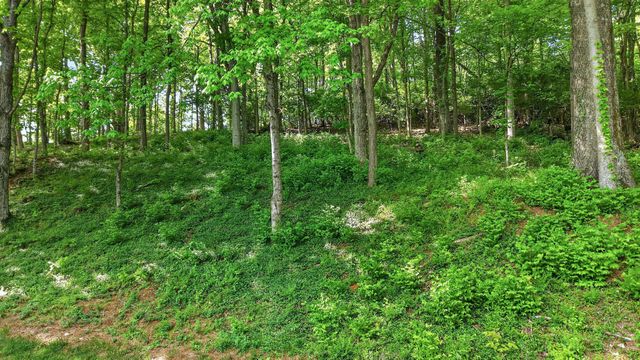 2148 Timberwood Dr, Nashville, TN 37215
