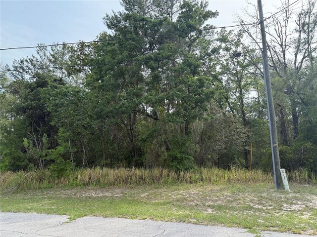 TBD SW 128TH PLACE, Ocala, FL 34473