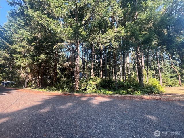 11124 Cole Place, Anderson Island, WA 98303