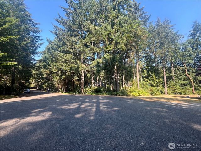 11124 Cole Place, Anderson Island, WA 98303
