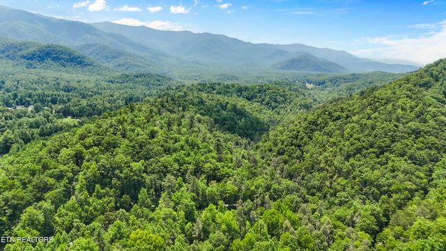 4539 Houge Way, Cosby, TN 37722