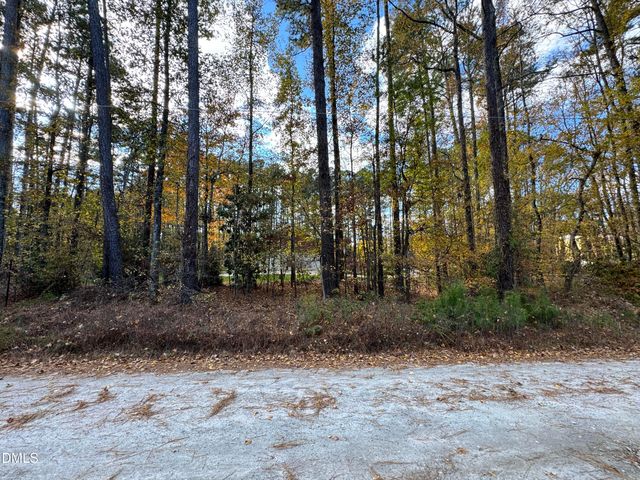 111 Forest Green Drive, Cary, NC 27511